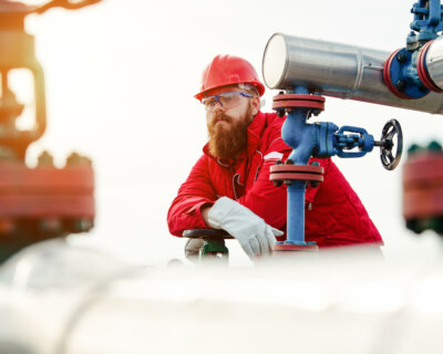 NLPC and Oil & Gas Workers Association v. Securities and Exchange Commission