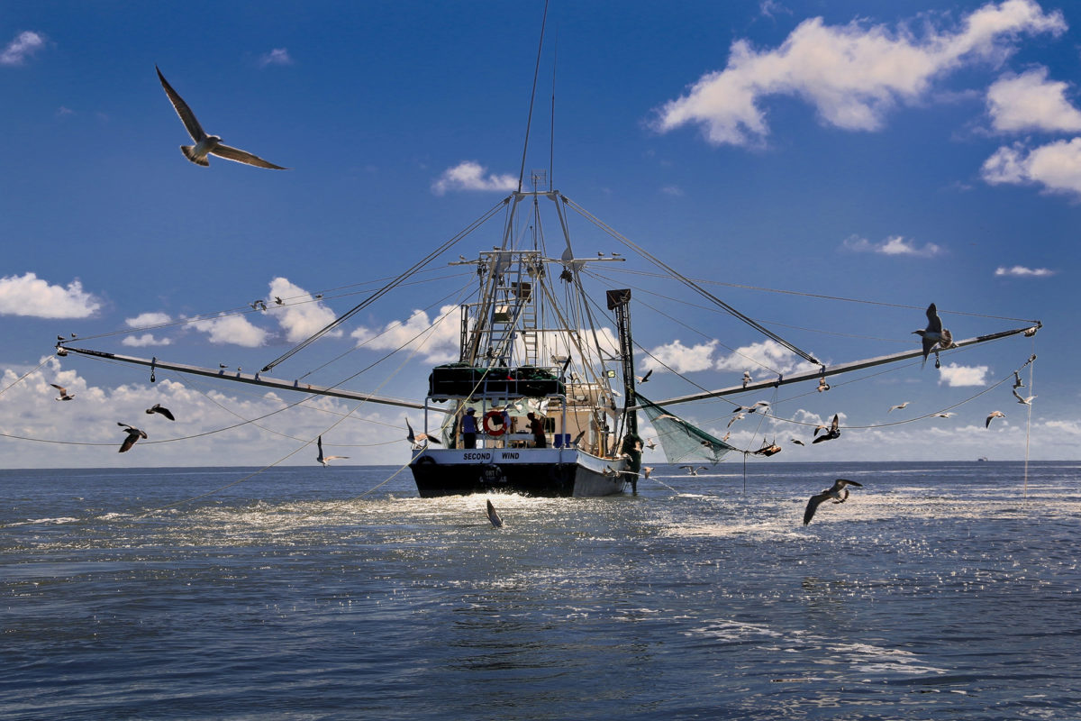 Louisiana Shrimp Association v. Biden
