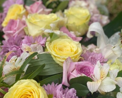 Mixson v. Louisiana Horticulture Commission