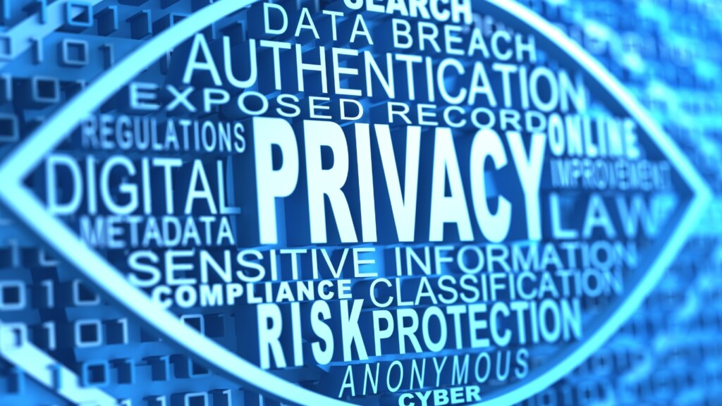 What Privacy Means for the Public