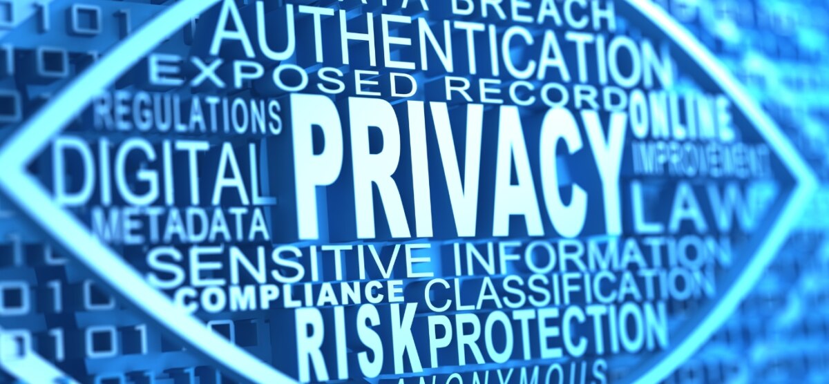 What Privacy Means for the Public