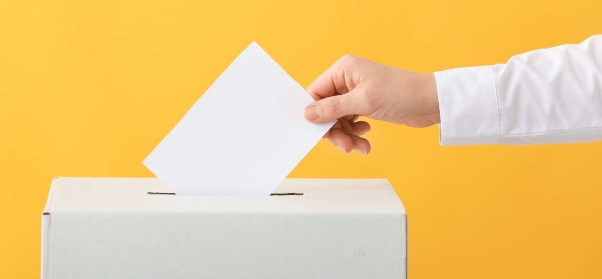 A Voter’s Companion to the March 29 Ballot