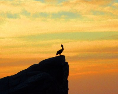 NEW POLL:  Louisiana Voters Want Leaner State Government, More Tax Relief, Expanded Education Options and Solutions to Tackle Soaring Insurance Costs