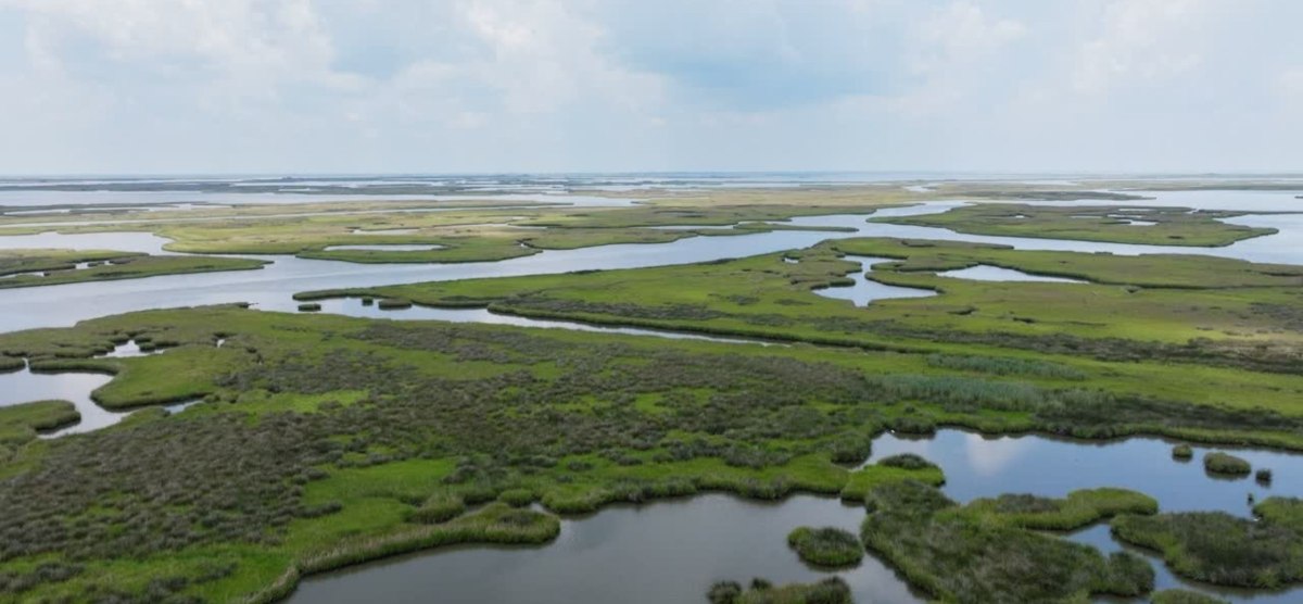 Pelican Institute Issues Statement in Response to Oral Arguments in <i>Chevron v. Plaquemines</i>