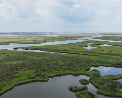 Pelican Institute Issues Statement in Response to Oral Arguments in <i>Chevron v. Plaquemines</i>