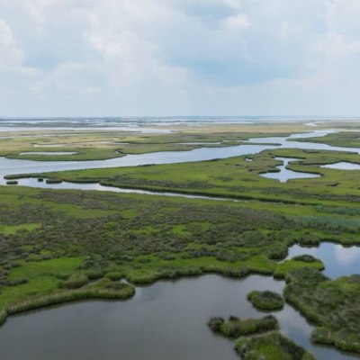 Pelican Institute Issues Statement in Response to Oral Arguments in <i>Chevron v. Plaquemines</i>